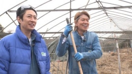 ヒロミ＆相葉雅紀、2時間SPで畑の再生に挑む　広大すぎる敷地にがく然「これはヤバイ！」 | オリコンニュース（ORICON NEWS） ヒロミ... 