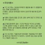 에레뮤러스 숙근-화이트뷰티페이보릿 여우꼬리백합 사막의촛불 : 꽃나무 묘목 - 엑스플랜트 에레뮤러스 숙근-화이트뷰티페이보릿  여우꼬리백합... 