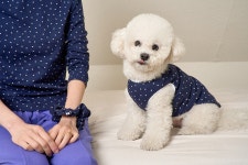 널독(NERDOG) 미니 스타 슬리브리스 (네이비) - 후기 | 무신사 널독(NERDOG)  미니 스타 슬리브리스 (네이비) - 후기 | 무신사