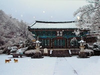 상품상세정보 [관광버스｜1박｜일반석] 상주의 자연을 품은 가을길 / 과일수확+호텔급+3식