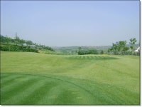 상품상세정보 [대구출발][청도/골프] 골프 + 관광 5일