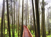 상품상세정보 [부산][노옵션+노쇼핑] 가오슝/타이난/아리산풍경구+산림열차/불광사/연지담 4일