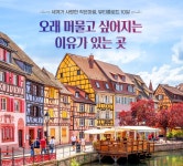 상품상세정보 [세계가 사랑한 아름다운 작은마을] 뷰티풀로드 10일 #알자스마을 #3大알프스파노라마 #소도시하이라이트