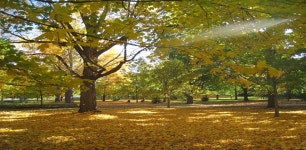 상품상세정보 [실시간항공/퀘백의 여유를 즐기는 여행] 토론토/나이아가라폭포/천섬/오타와 + 몬트리올/퀘백 9일