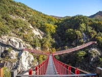 상품상세정보 [1박 2일] &#39;우두산 출렁다리/지리산 뱀사골/노고단&#39;