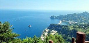 상품상세정보 [포항집결] 울릉크루즈1박+울릉도 1박 관광호텔급 3일