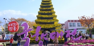 상품상세정보 당일 버스여행｜전국 최대 국화축제 25년 대한민국 국향대전