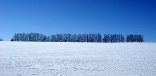 상품상세정보 [청주][특급 소운가쿠그랜드숙박] 북해도/푸른연못+흰수염폭포/후라노/비에이/타키노레이엔 4일