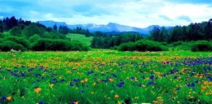 상품상세정보 [백두산_서파] 대련+고구려유적지 5일