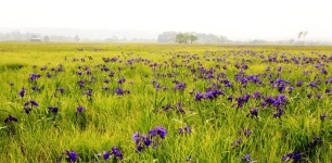 상품상세정보 - 좋은날, 좋은여행 참좋은여행 좋은날, 좋은여행 참좋은여행