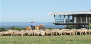 상품상세정보 [BEST 상품에 품격을 더하다]호주_시드니(토브룩농장+오페라내부) 6일