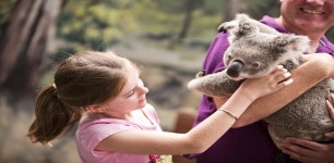 상품상세정보 [시드니+골드코스트 6일] 특급호텔/AUD75 헬기투어/드림월드/코알라사진 + 커피 한잔의 여유