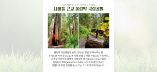 기획전 참좋은여행