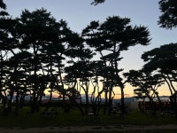 비가 내리는 월요일 인사 드립니다. > 자유게시판 | 쿨엔조이