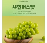 샤인머스켓 2KG 외 > 지름/알뜰정보 | 쿨엔조이