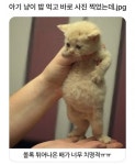 너무 귀엽자낭 ㅎ > 자유게시판 | 쿨엔조이