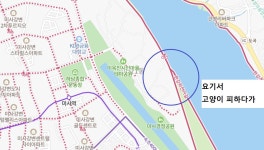 [모자이크 혐짤] 저도 처음 제대로 낙차해봤어요! - New Dossa - [모자이크 혐짤] 저도 처음 제대로 낙차해봤어요!