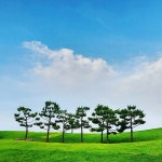 오늘의 마실 - New Dossa - 오늘의 마실