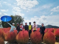 (후기)[CD] 10/25 (토) 8시 00분 ★ 연천댑싸리&감악산&백학 코스 ★ (출발지: 야당역) - New Dossa - (후기)[CD] 10/25 (토) 8시 00분... 