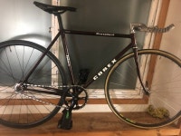 코렉스 프레지던트 판매하려는데.. 가격책정을.. - New Dossa - 코렉스 프레지던트 판매하려는데.. 가격책정을..