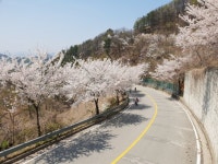 [go~급벙] 4/17(화) 가자!!벗서명 (영상) - New Dossa - [go~급벙] 4/17(화) 가자!!벗서명 (영상)