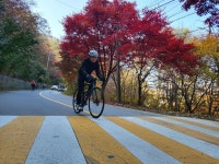 [사진추가]10/29 북부 초중급 후기(초급코스) - New Dossa - [사진추가]10/29 북부 초중급 후기(초급코스)