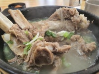 랜도너스 pt 60 경춘선 gg - New Dossa - 랜도너스 pt 60 경춘선 gg