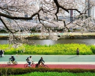 오늘의 마실 - New Dossa - 오늘의 마실