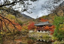 11월7일 단풍구경 - New Dossa - 11월7일 단풍구경