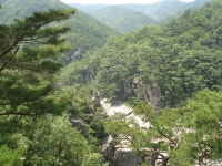 [목요착한중급]6/7[힐클라임투어]불영계곡(154km)(고개는 딱2개) - New Dossa - [목요착한중급]6/7[힐클라임투어]불영계곡(154km)(고개는... 