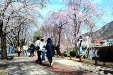 SNS >네이버밴드 | 창녕소식 네이버밴드 | 창녕소식