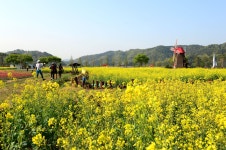 SNS >네이버밴드 | 창녕소식 네이버밴드 | 창녕소식