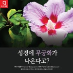 [카드뉴스]성경 샤론의 장미에 한국교회가 열광하는 이유 - 아시아경제