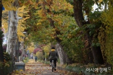 [골목길 핫플레이스]舊남영동 대공분실과 전쟁기념관 - 아시아경제  [골목길 핫플레이스]舊남영동 대공분실과 전쟁기념관 - 아시아경제