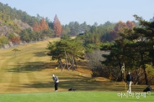 [포토] 늦가을 정취속 ‘칩샷’ - 아시아경제