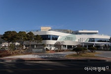 전남도 새해 첫 여행, 보성 율포녹차센터·장흥 정남진편백숲우드랜드 추천