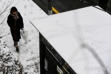 [포토] 눈내린 남산길 - 아시아경제 [포토] 눈내린 남산길