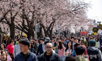 [포토] 여의도 벚꽃축제 인파 - 아시아경제
