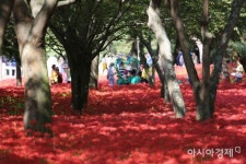 전남도, 9월 추천 관광지…목포 시화골목·영광 불갑사 - 아시아경제 전남도, 9월 추천 관광지…목포 시화골목·영광 불갑사   - 아시아경제