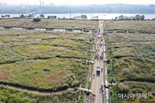 [포토]억새 가득한 하늘공원 - 아시아경제 [포토]억새 가득한 하늘공원  - 아시아경제