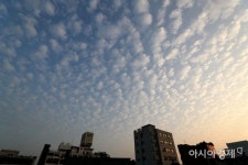 [포토]서울 하늘에 뜬 양떼구름 - 아시아경제 [포토]서울 하늘에 뜬 양떼구름 