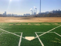 영등포구 ‘안양천 영롱이 갈대 야구장’ 개장 - 아시아경제 영등포구 ‘안양천 영롱이 갈대 야구장’ 개장  - 아시아경제