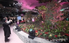 [포토] 종각역 지하보도에 생긴 정원 - 아시아경제