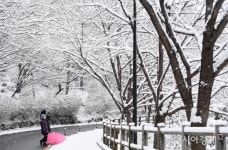 [포토] 새하얀 눈세상을 담아요 - 아시아경제 [포토] 새하얀 눈세상을 담아요
