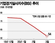 韓 경제 끝모를 추락…최악 땐 성장률 -12.2%까지 간다 - 아시아경제