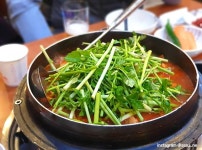 더위 먹기 전에, 보양식 먹자! | 데이블 뉴스 테스트  | 루리웹