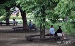 [포토] 시원한 나무그늘 - 아시아경제