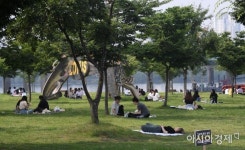 [포토] 나무그늘 하나에 돗자리 하나