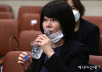 [2020국감]이윤숙 네이버쇼핑 사장 쇼핑검색 조작 없었다 - 아시아경제