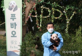 [포토]언론에 공개된 첫 아기 판다 '푸바오' - 아시아경제 [포토]언론에 공개된 첫 아기 판다 '푸바오'